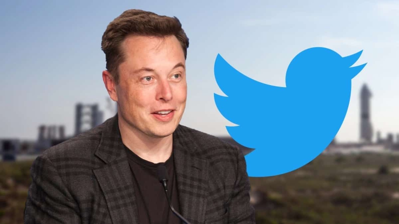 Elon Musk Twitter Layoffs