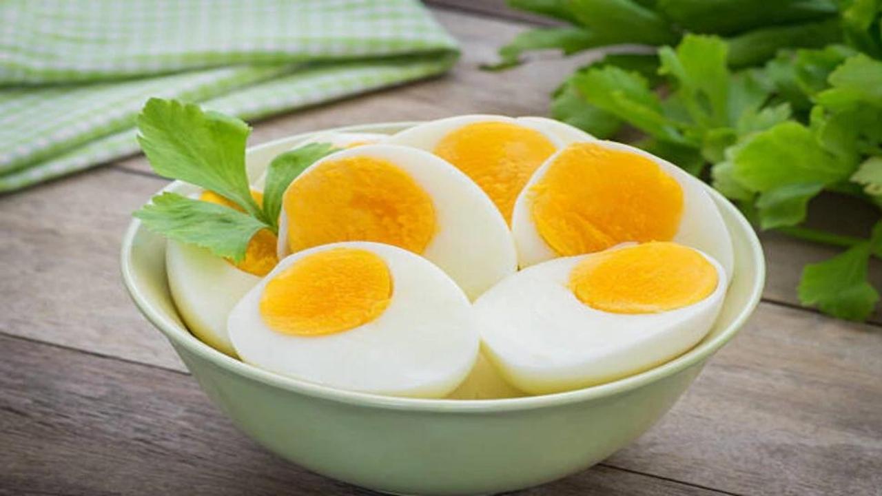 Fake Egg Test
