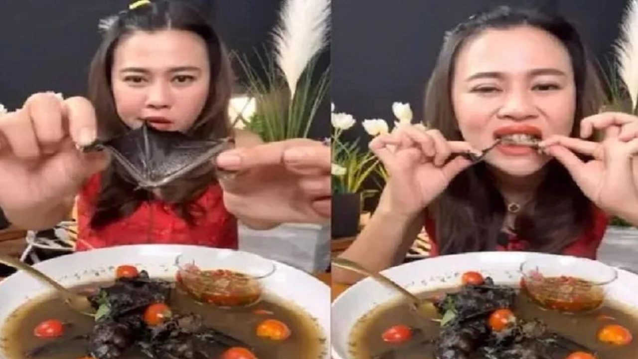 Lady Teacher Drinking Bat Soup
