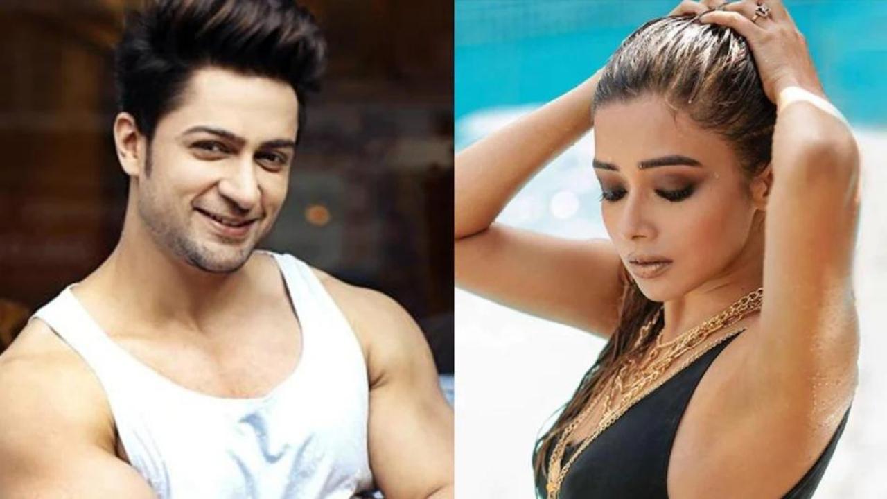 Shalin Bhanot Tina Datta Romance