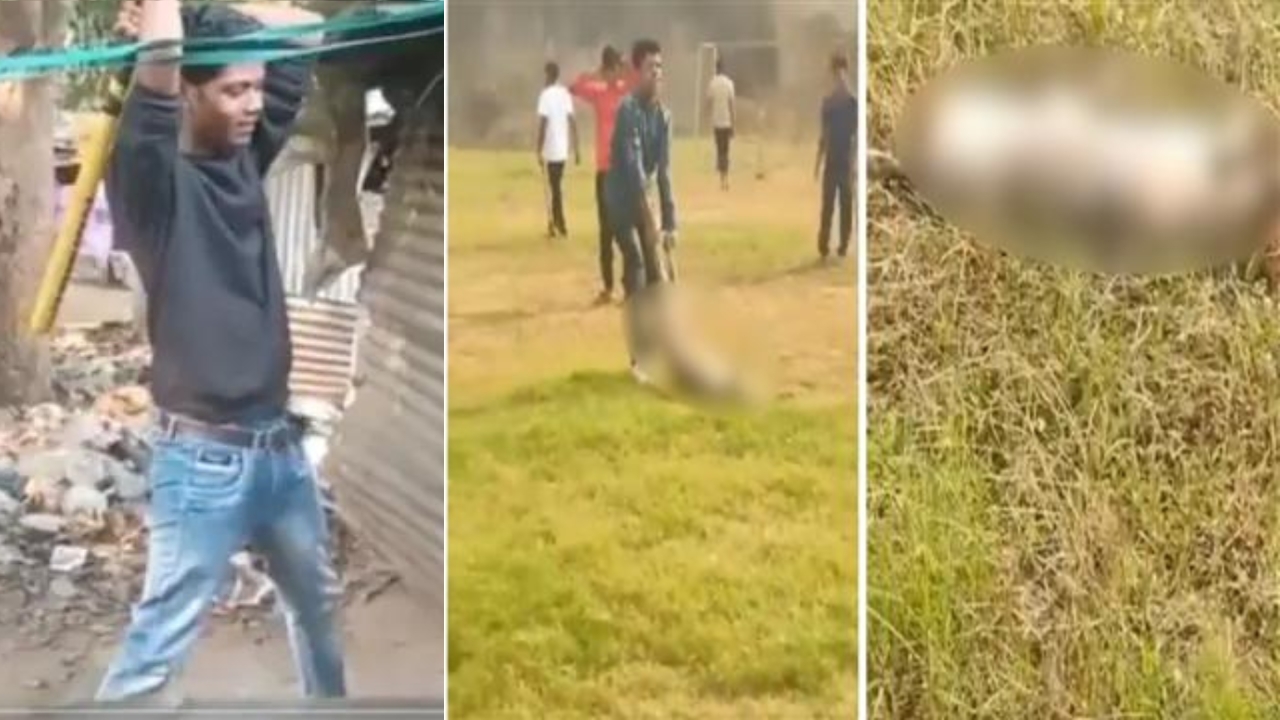 Students Beat Pregnant Dog