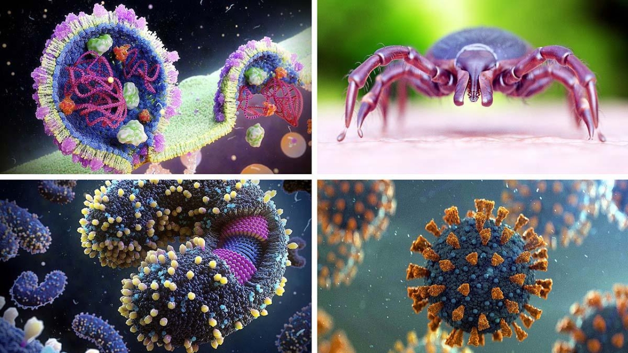 12 Viruses Discovered This Year