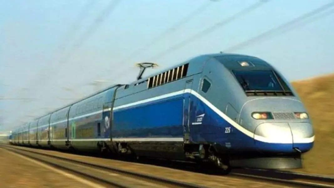 Cutting Of Trees For Bullet Train Mumbai