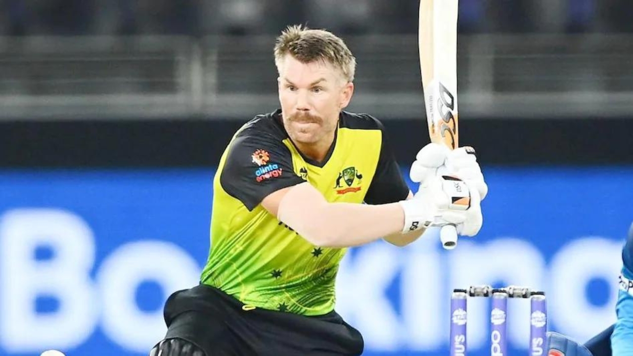 David Warner On Captaincy Ban
