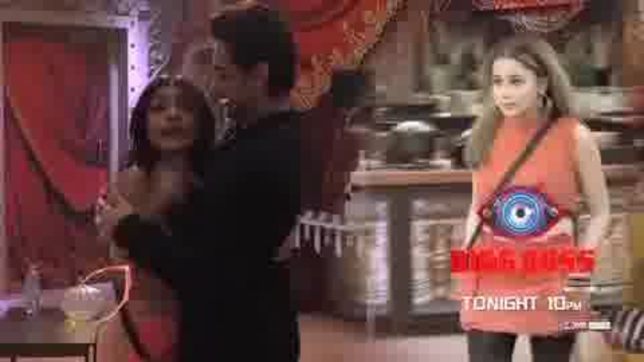 Sreejita De In Bigg Boss 16