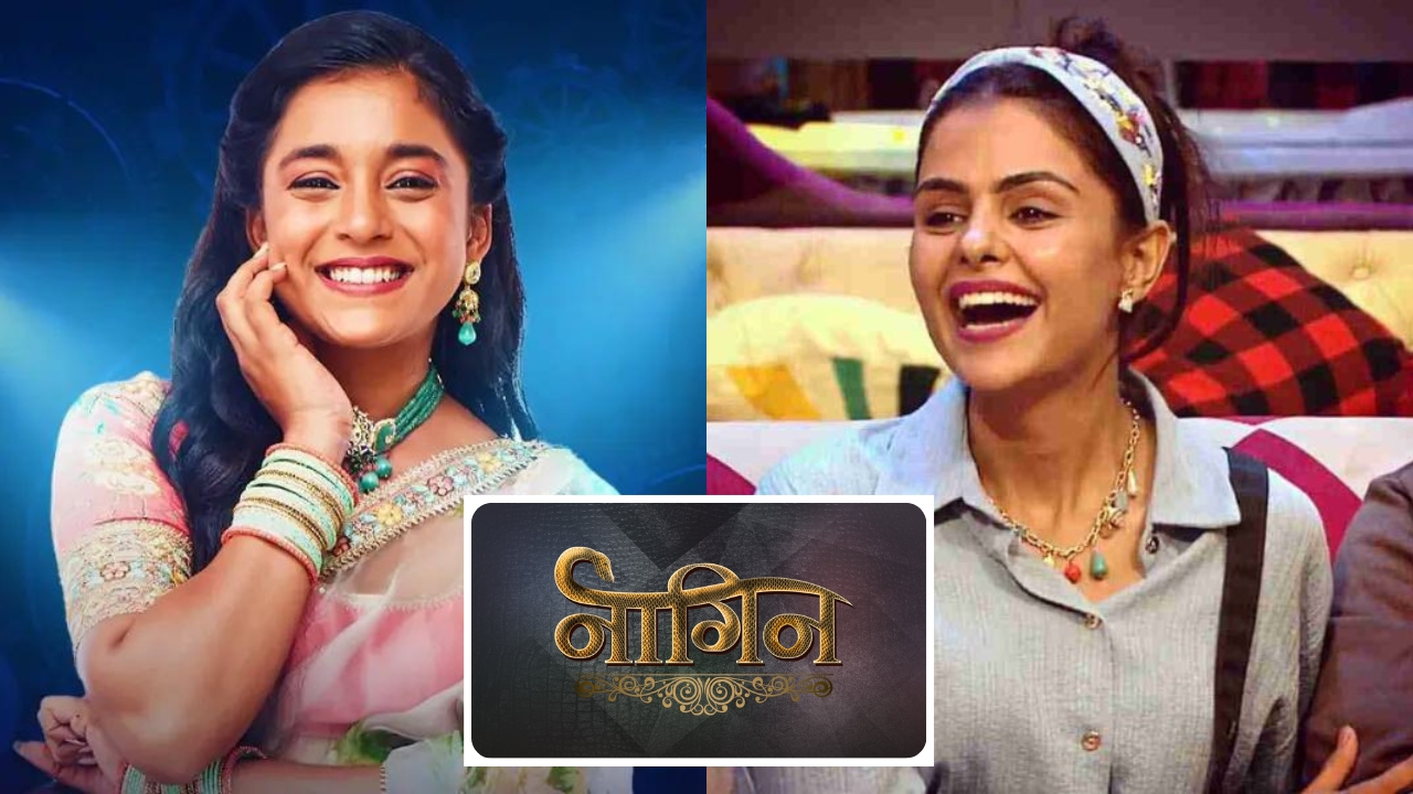 Sumbul Priyanka Naagin 7