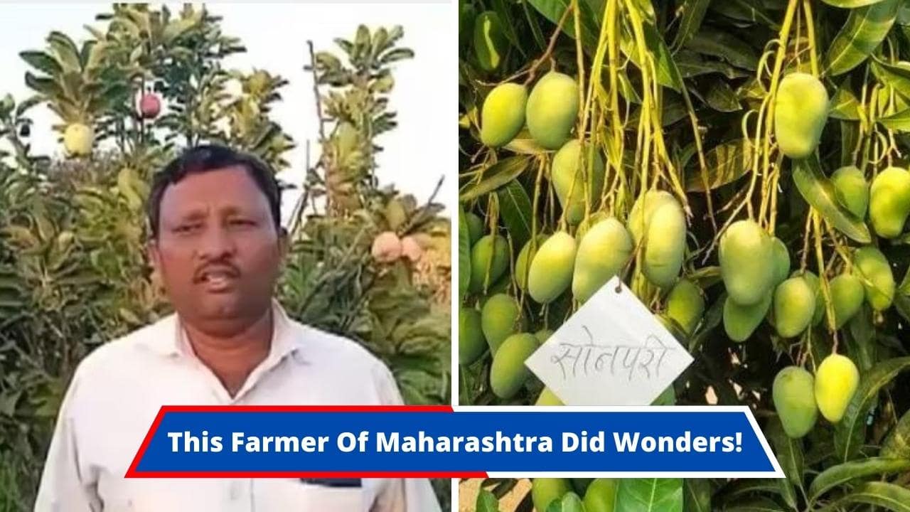 Farmer Kakasaheb Sawant