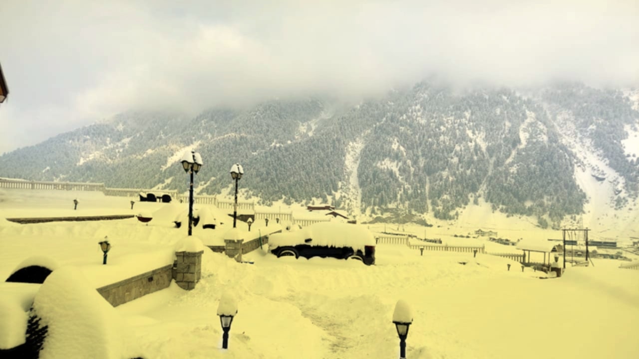 Yellow Snow In Jammu and Kashmir