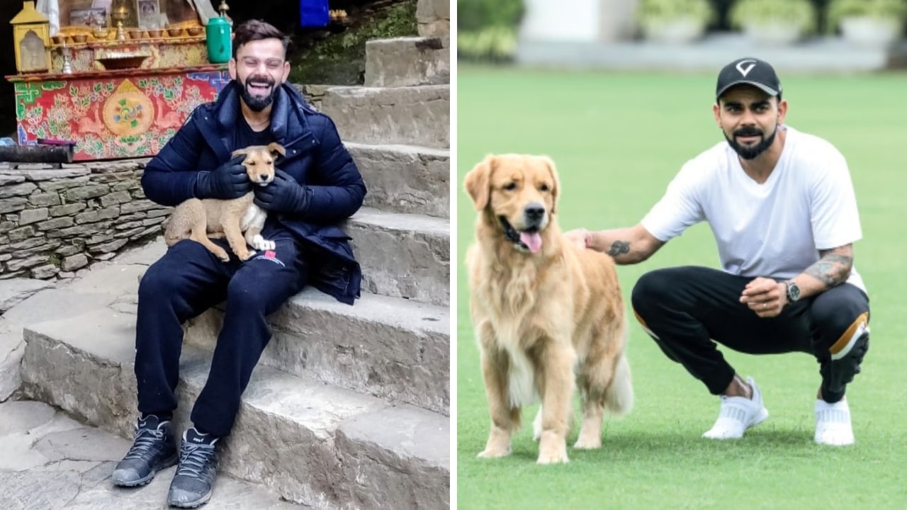 Virat Kohli With A Dog