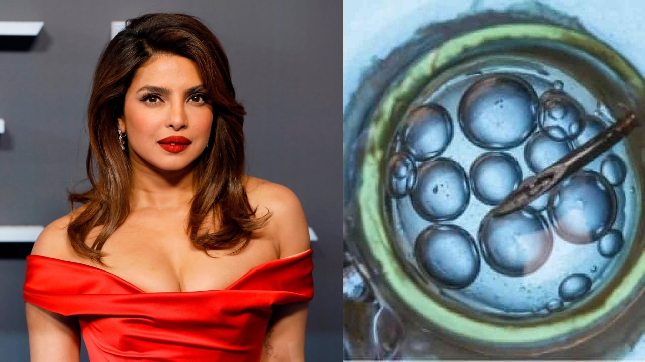 Priyanka Chopra Eggs Freeze