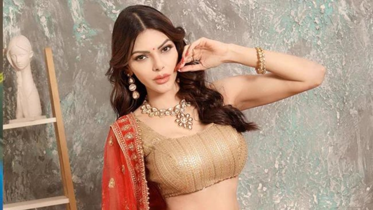 Sherlyn Chopra Molested