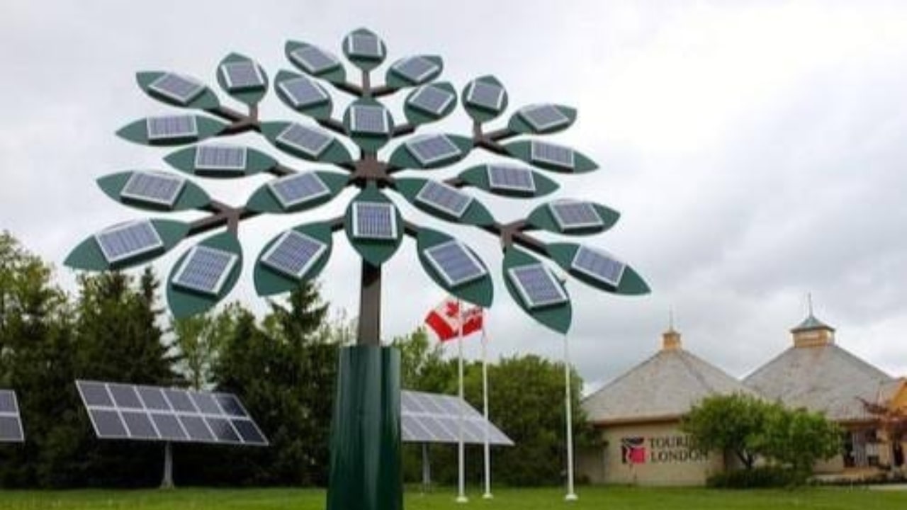 Solar Tree Installation