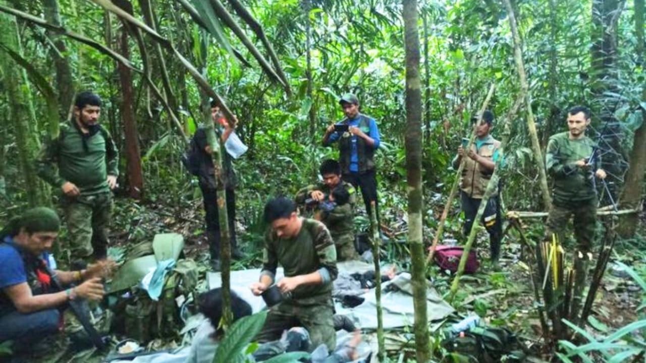 Amazon Forest Rescue