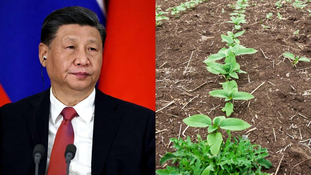 China Buying Land In Other Countries