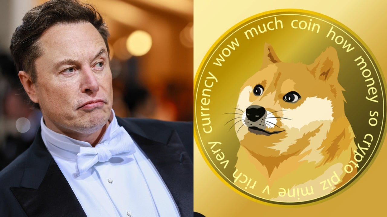 Elon Musk Dogecoin