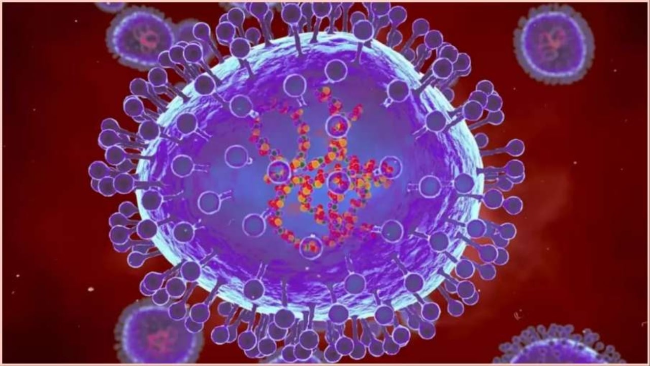 HMPV Virus Symptoms