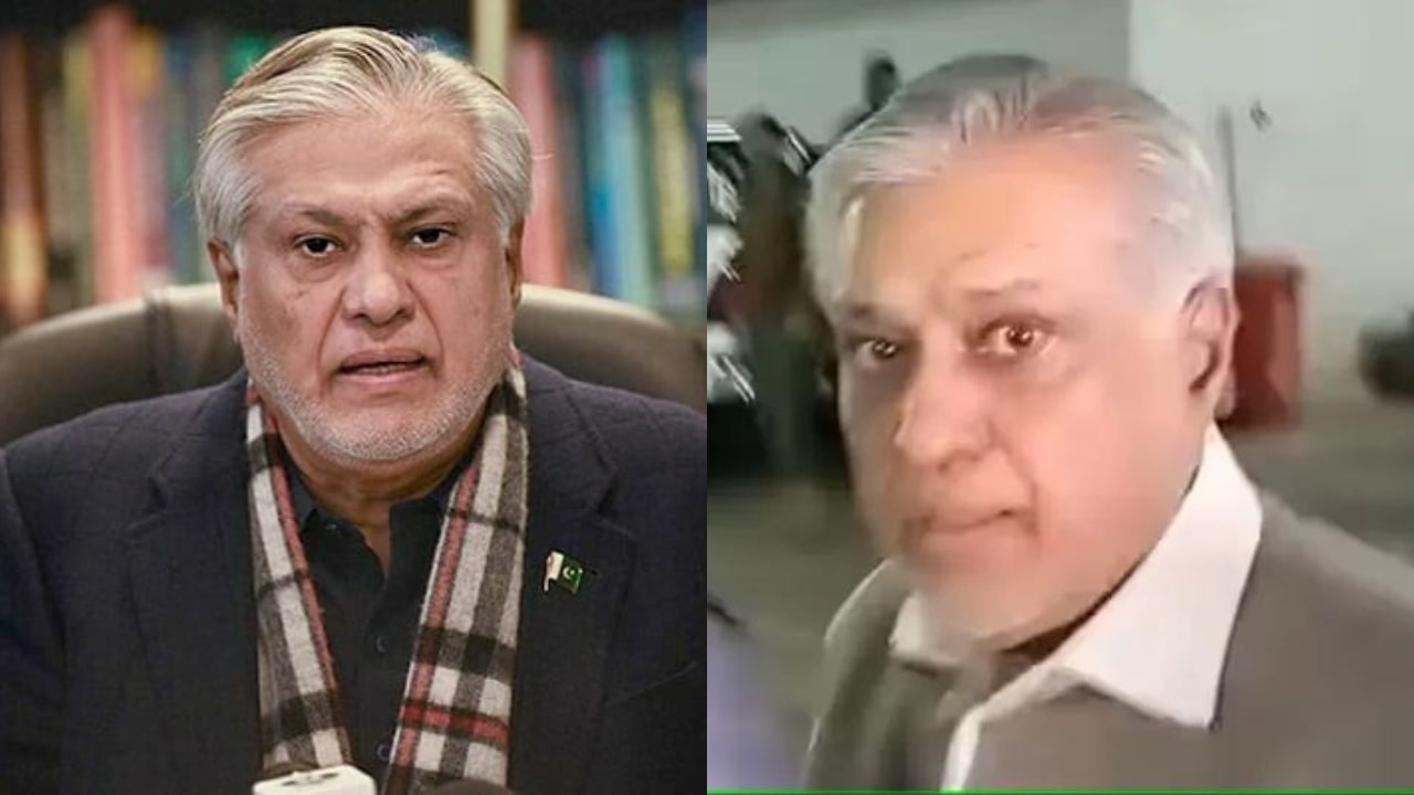 Ishaq Dar Slapped The Reporter