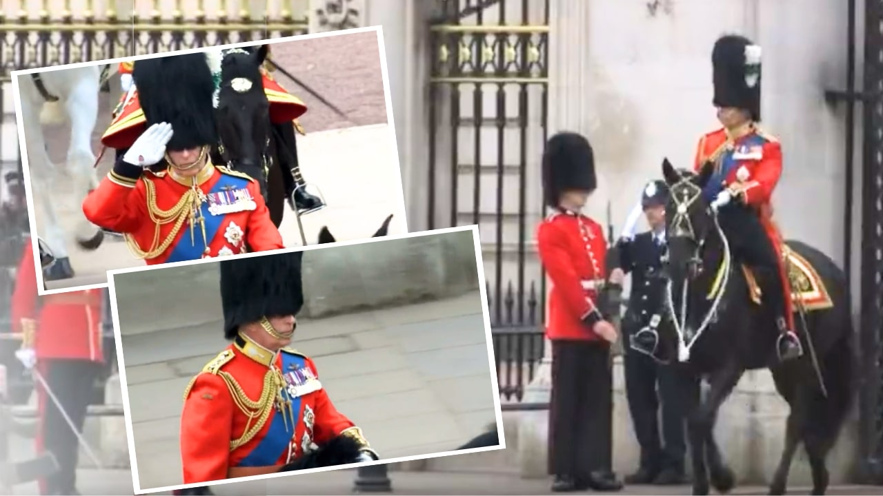 King Charles III Riding Horse