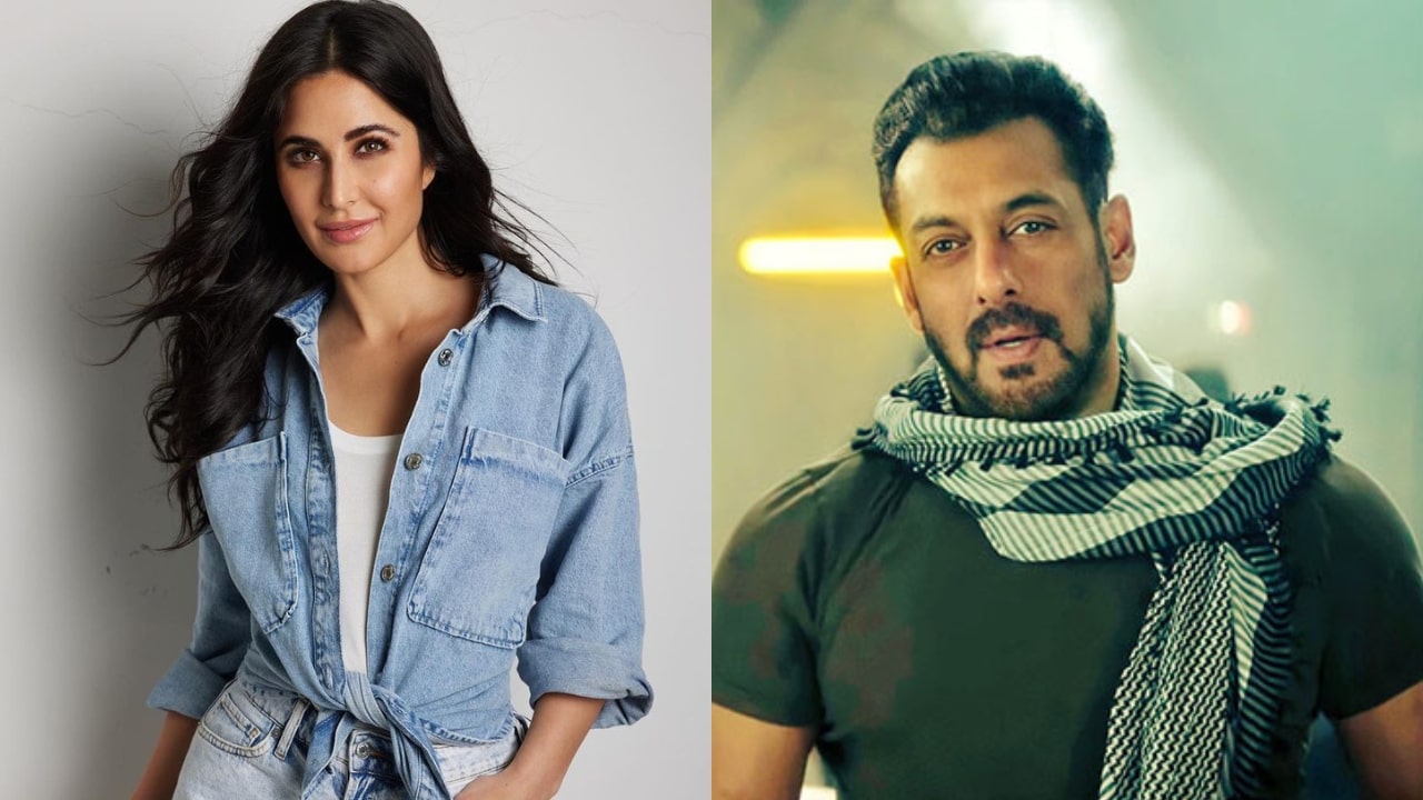Salman Khan Tiger 3 Movie