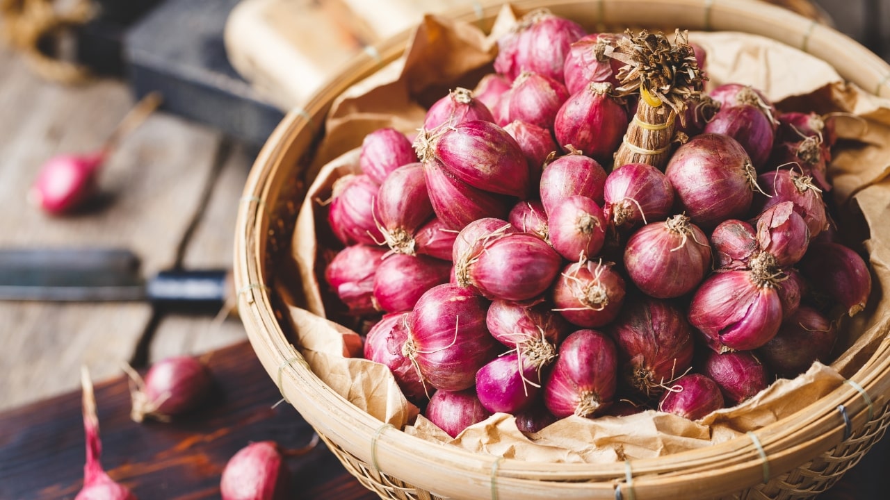 Onion