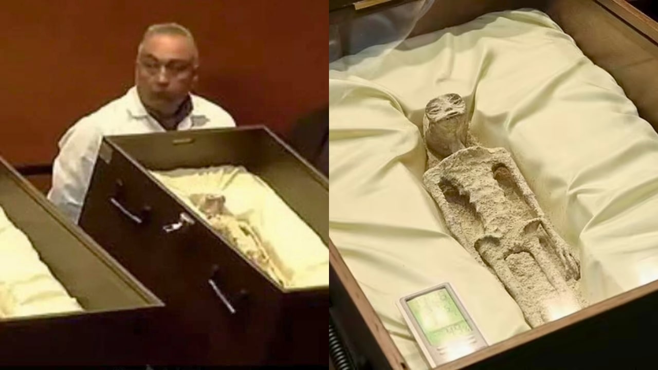 Dead Alien Bodies Found In Mexico