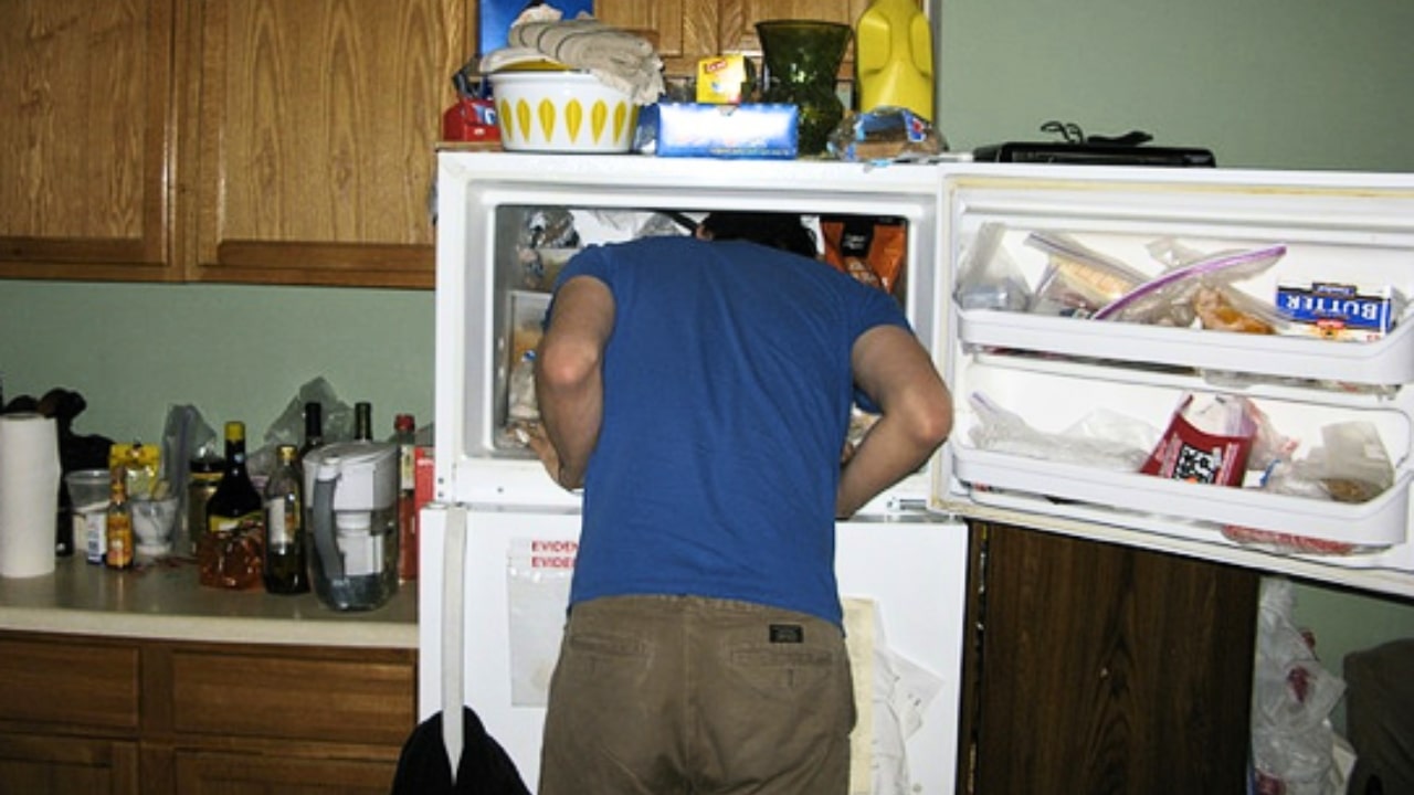 Head In Fridge Challenge