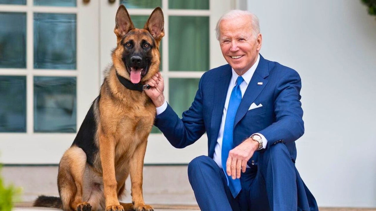 Joe Biden Dog Commander