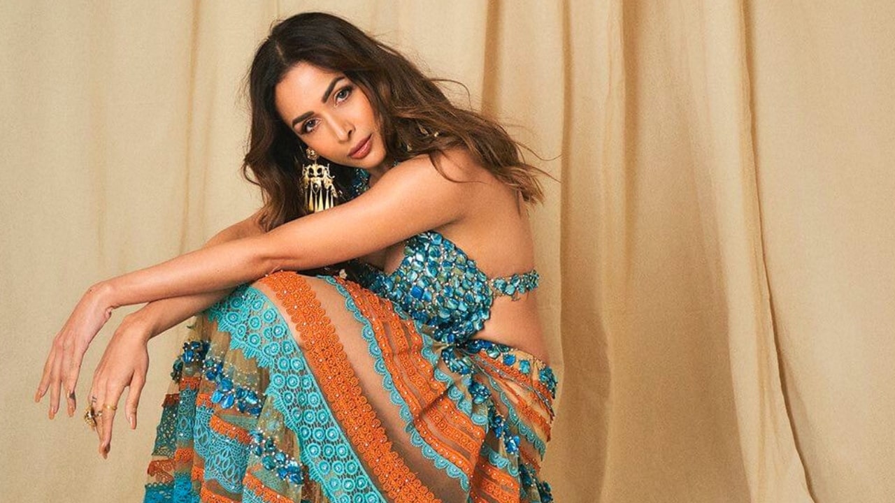 Malaika Arora Transparent Skirt
