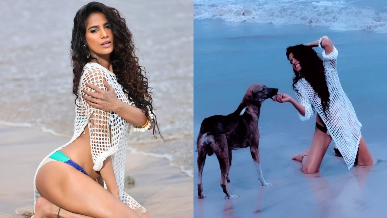 Poonam Pandey On The Beach With A Dog