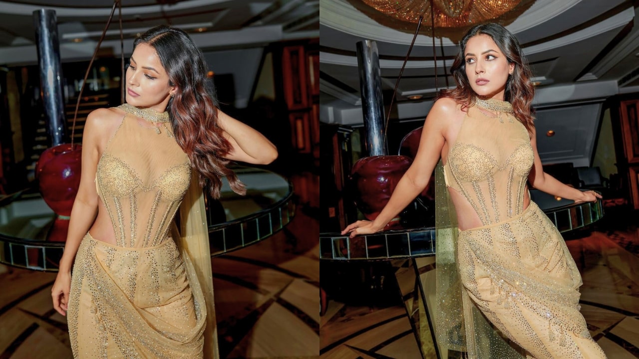 Shehnaaz Gill In Yellow Shimmery Transparent Dress