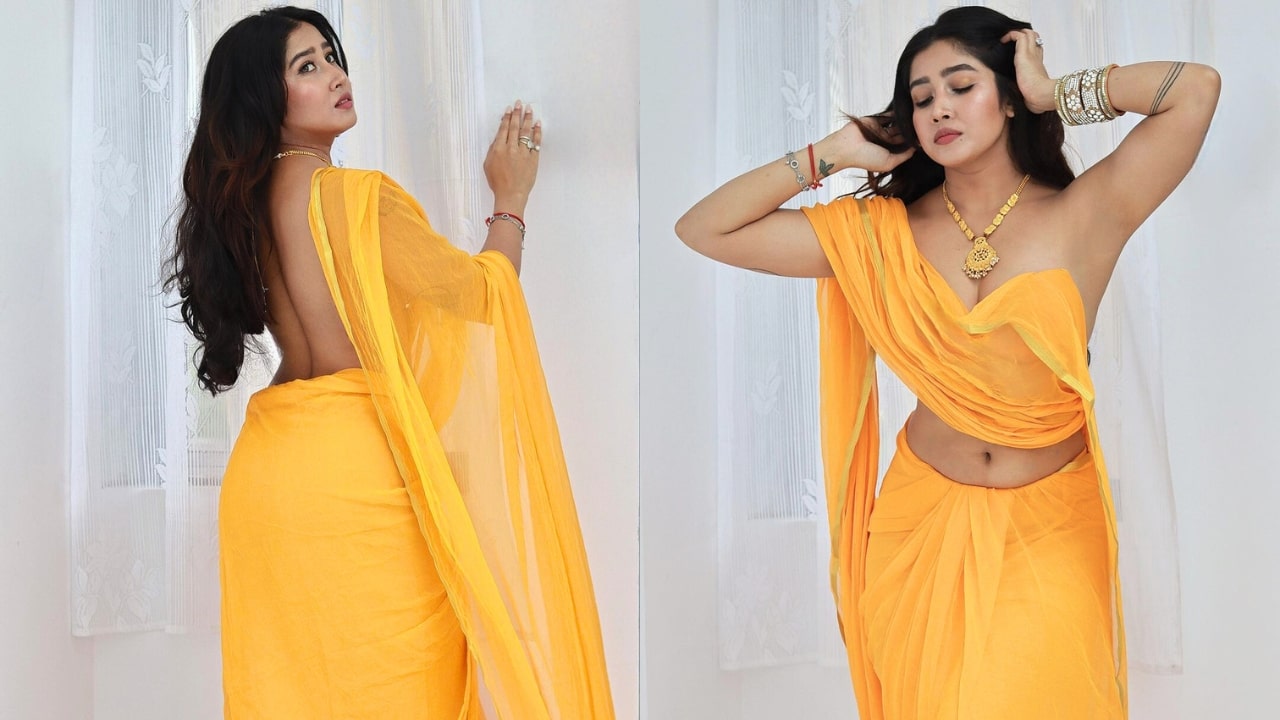Sofia Ansari In Yellow Saree