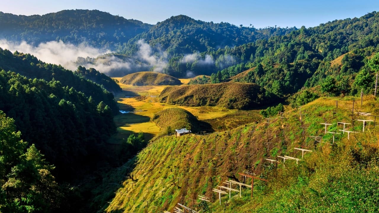 Ziro