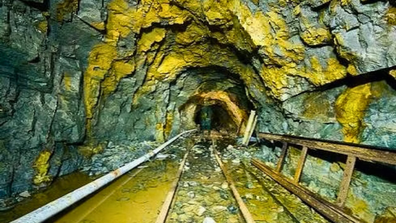 Gold Mine
