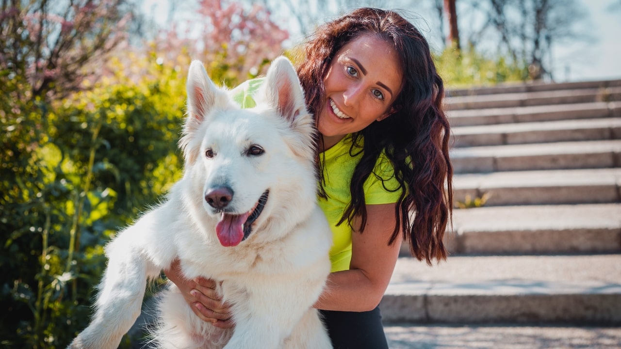 Why Dogs Follow Their Owners