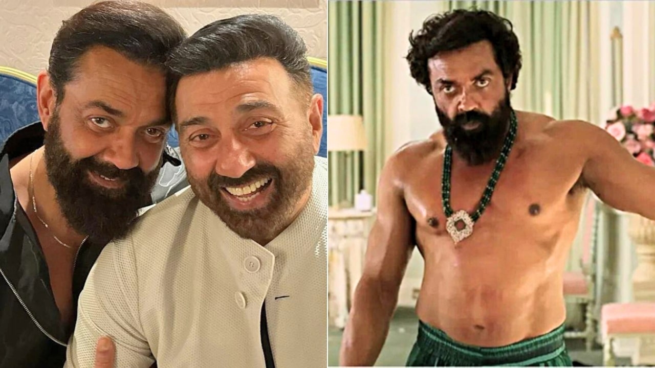 Bobby Deol Animal Success