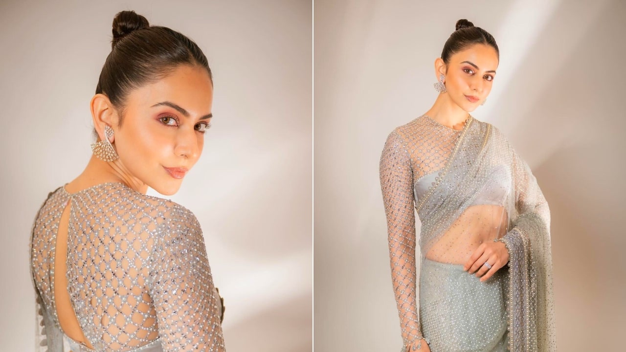 Rakul Preet In Silver Colored Net Saree