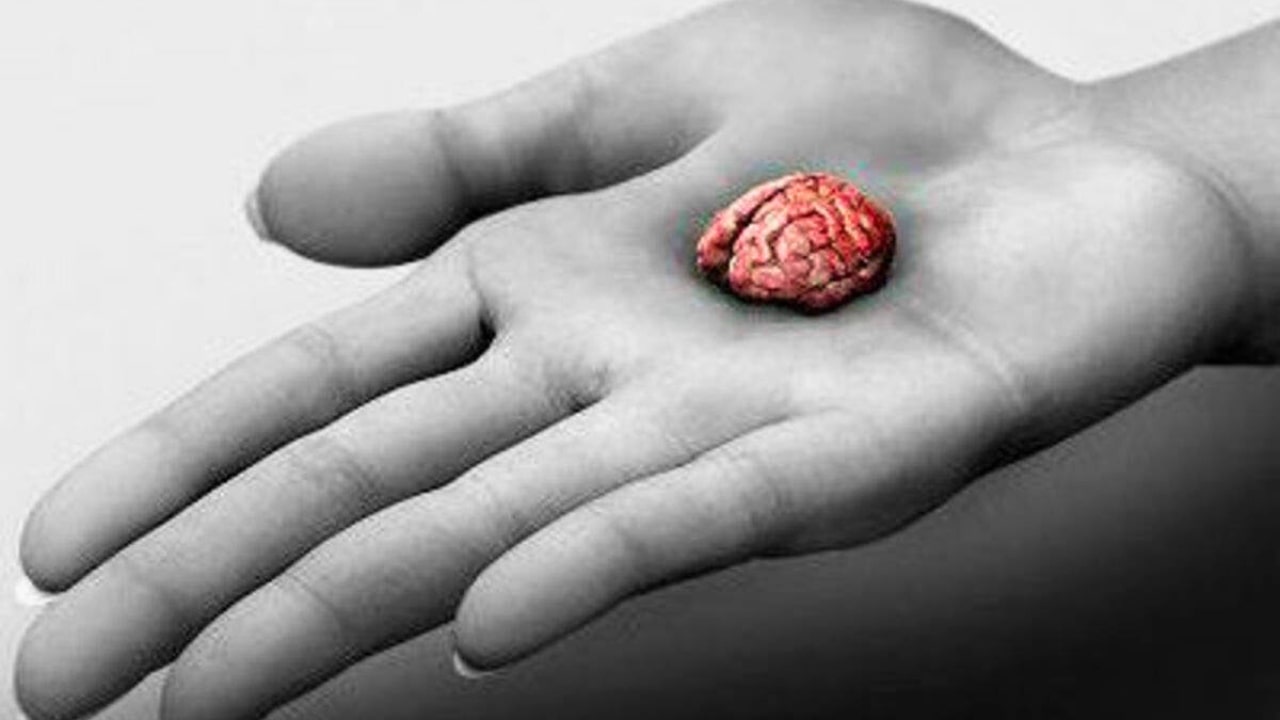 Mini Brain