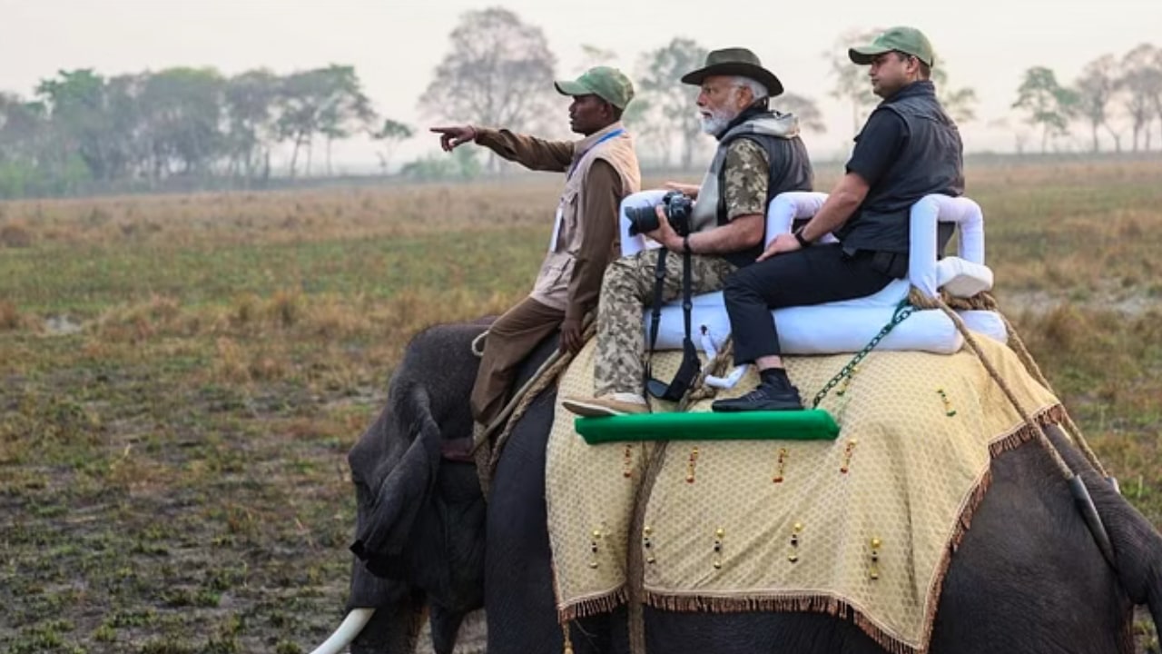 PM Modi In Kaziranga National Park