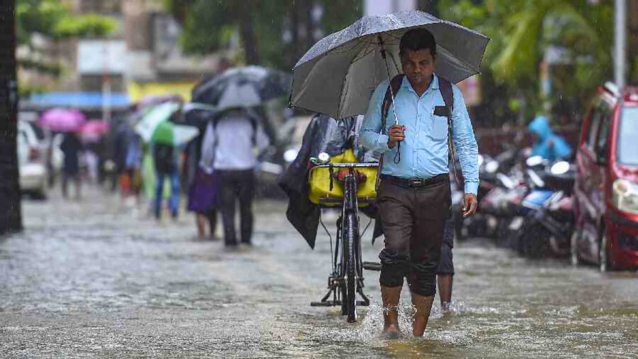 Rain Alert