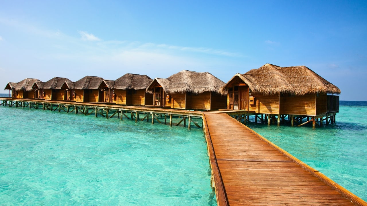 Maldives News
