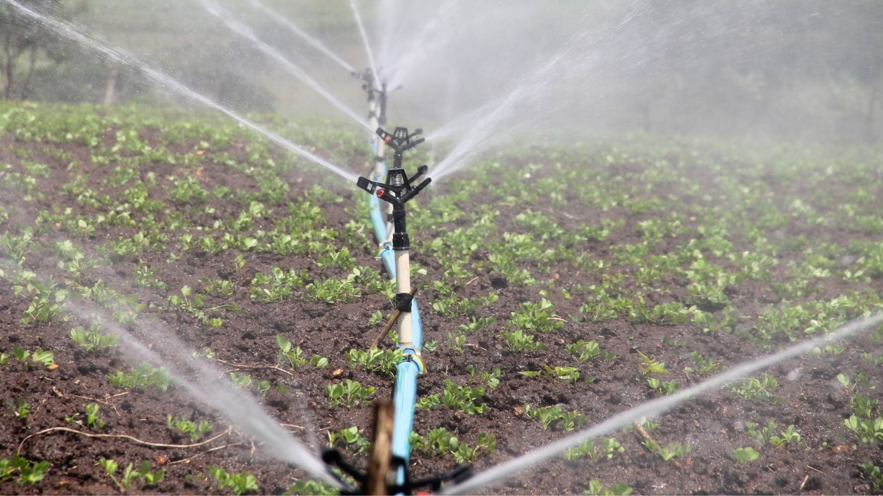 Irrigation