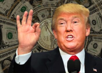 Donald Trump Earning